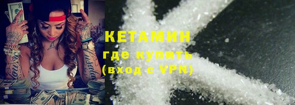 индика Новозыбков
