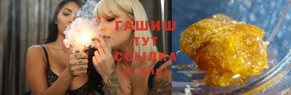 индика Новозыбков
