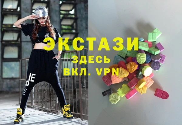индика Новозыбков