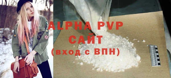 индика Новозыбков