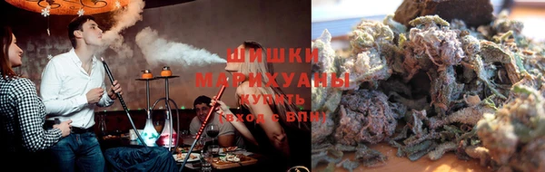 индика Новозыбков
